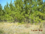 LOT 2 THORN BIRD RD Waycross, GA 31503 - Image 3589161