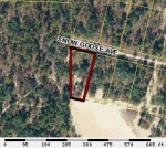 0 Snow Goose Avenue Brooksville, FL 34601 - Image 3590178