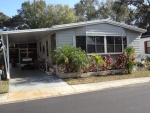 100 Hampton Ave (244) Clearwater, FL 33759 - Image 3600965