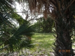 4917 24th Ave  S Saint Petersburg, FL 33707 - Image 3602307