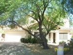 4524 E Annette Dr Phoenix, AZ 85032 - Image 3604550