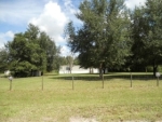 311 WILDLIFE TRAIL Lakeland, FL 33809 - Image 3645494