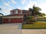 31016 BRIDGEGATE DR Wesley Chapel, FL 33545 - Image 3672126