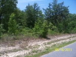 SW 116TH ST RD, LOT 49 Ocala, FL 34476 - Image 3679965