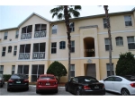 5022 Sunridge Palms Dr Apt 203 Tampa, FL 33617 - Image 3681390