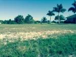 4117 NW 14th St Blk 5215 lots 25,26 Cape Coral, FL 33993 - Image 3687405