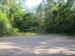 000 DEER MEADOW LANE Jacksonville, FL 32218 - Image 3688678