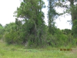 LOT 1 EWEN DR North Port, FL 34286 - Image 3698035