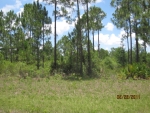 LOT 33 DAHOON North Port, FL 34286 - Image 3698038