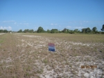 1408 BURNT STORE RD N Cape Coral, FL 33993 - Image 3700008