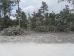 12101 MIRAGE AVE, LOT 10 Brooksville, FL 34614 - Image 3705793