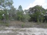 12514 MOUNTAIN PLOVER RD, LOT 3 Brooksville, FL 34614 - Image 3705792