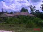 12290  MARIpOE AVE Brooksville, FL 34614 - Image 3705818