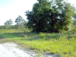 93rd Place O Brien, FL 32071 - Image 3714622