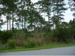 3735 Sparrow Hawk Trl Mims, FL 32754 - Image 3737402