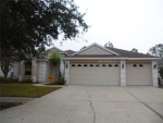 18119 Heron Walk Dr Tampa, FL 33647 - Image 3746502