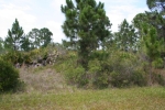 11321 REINHARDT AVE, LOT 27511/366 Englewood, FL 34224 - Image 3763735