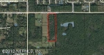 0 COUNTY ROAD 220 Middleburg, FL 32068 - Image 3765898