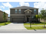 20405 Carolina Cherry Ct Tampa, FL 33647 - Image 3774257