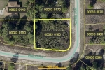 732 azure ave Lehigh Acres, FL 33974 - Image 3777319