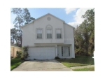 30200 Birdhouse Dr Wesley Chapel, FL 33545 - Image 3779509