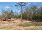 Lot 1 County Road 539 Enterprise, AL 36330 - Image 3782023