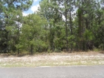 7171 N HAZELWOOD DR Dunnellon, FL 34433 - Image 3788343