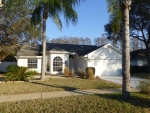 1675 Polo Club Dr Tarpon Springs, FL 34689 - Image 3788305