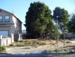 WILLARD AVE Richmond, CA 94801 - Image 3792461