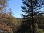 11958 Sunshine Valley Rd Grass Valley, CA 95945 - Image 3801389