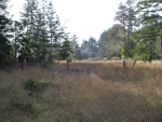 49801 Andiron Rd Little River, CA 95456 - Image 3823497