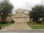 9613 SIMEON DRIVE Land O Lakes, FL 34638 - Image 3823772