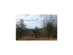 30 Acres Clearview Drive Talking Rock, GA 30175 - Image 3841471