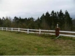 Lot 35 Phase III County Road 558Bridlewood Farms Enterprise, AL 36330 - Image 3872322