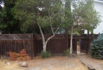 17191 Wedgewood Avenue Los Gatos, CA 95032 - Image 3875777