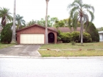 1405 Oleander Dr Tarpon Springs, FL 34689 - Image 3896345