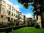 5520 S Cornell Ave #3S Chicago, IL 60637 - Image 3923539