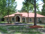 24727 TRADER HORN Land O Lakes, FL 34639 - Image 3925387