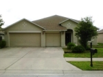 17901 Glenapp Dr Land O Lakes, FL 34638 - Image 3930960