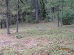 1.2 Ac Lot 22 Trailhead Planned Ut Foresthill, CA 95631 - Image 3935629