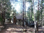 21952 Crest Forest Dr Cedarpines Park, CA 92322 - Image 3944683