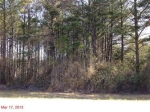 Land  Lot Weems #237 Locust Grove, GA 30248 - Image 3958432