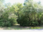 LOT 47 AND LOT 48 LATINA AVE Spring Hill, FL 34610 - Image 3962179