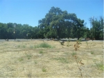 1344 State Highway 99 Gridley, CA 95948 - Image 4137784