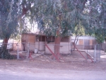 5270 Odell St Riverside, CA 92509 - Image 4143402