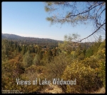 17625 Black Forest Rd Penn Valley, CA 95946 - Image 4144519