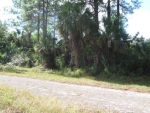 132 Aubum St S Lehigh Acres, FL 33974 - Image 4177475