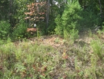 LOT 122 THE PRESERVE Ellijay, GA 30540 - Image 4198705