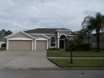 10231 Meadow Crossing Dr Tampa, FL 33647 - Image 4205287