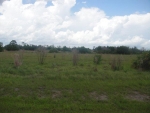 13439 SE 26TH LN Okeechobee, FL 34974 - Image 4209980